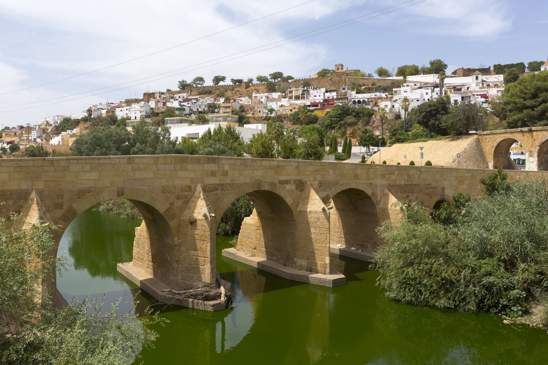 Vista de Alcalá de Guadaíra