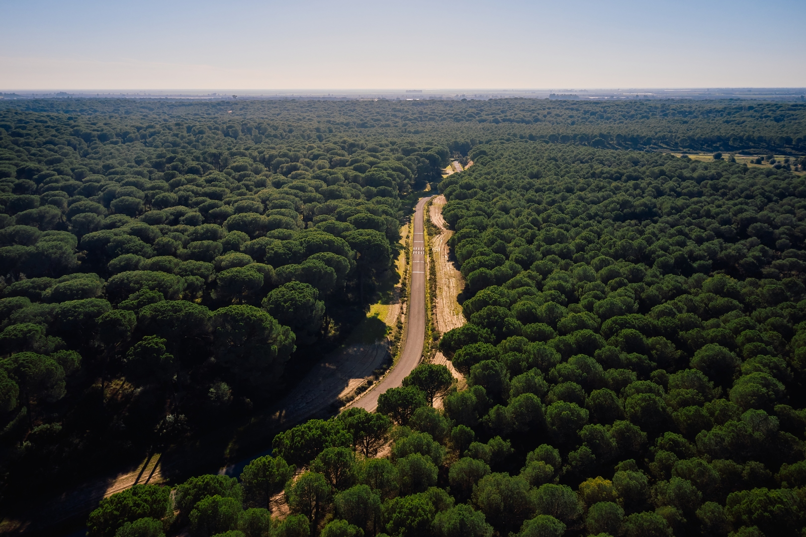 Vista de Aznalcázar