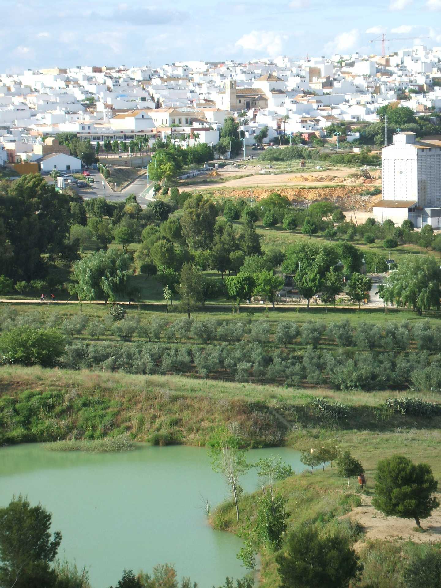 Vista de El Viso del Alcor