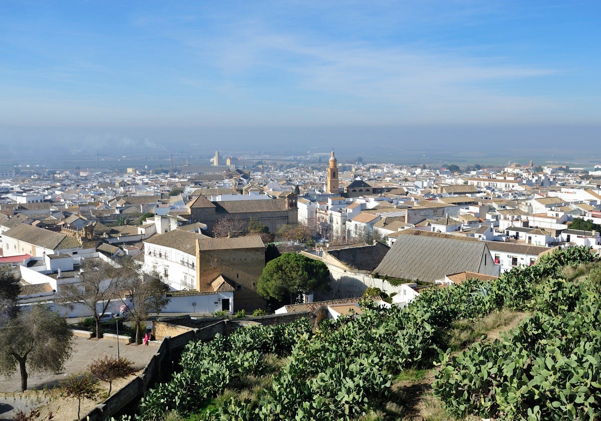 Vista de La Puebla de Cazalla